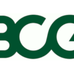 The Boston Consulting Group GmbH - BCG