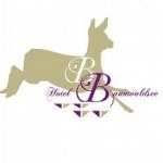 Hotel Bannwaldsee